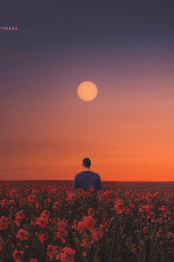 a person standing in a field of flowers